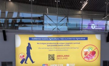 New campaign at Chile’s International Airport to prevent the entry of diseases such as ASF