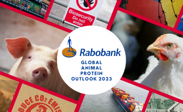 拉博银行 2023：肉类行业必须在挑战和机遇中预测其增长