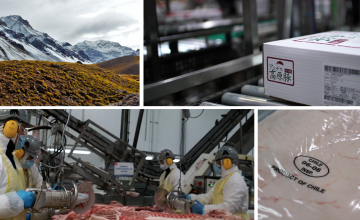 Chile, país exportador de carne de cerdo producida bajo los más altos estándares de inocuidad, sanidad, bioseguridad y sustentabilidad