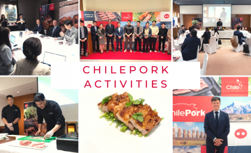 Actividades de ChilePork en Corea del Sur resaltan el éxito del modelo de producción trazable de la carne de cerdo chilena