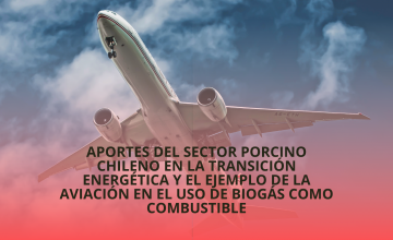Aportes del sector porcino chileno en la transición energética y el ejemplo de la aviación en el uso de biogás como combustible