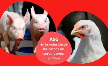 Innovación y sostenibilidad: El impacto de los criterios ASG en la industria productora de carnes de cerdo en Chile