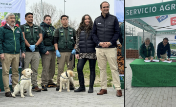 SAG refuerza vigilancia sanitaria con nuevos canes detectores donados por ChilePork