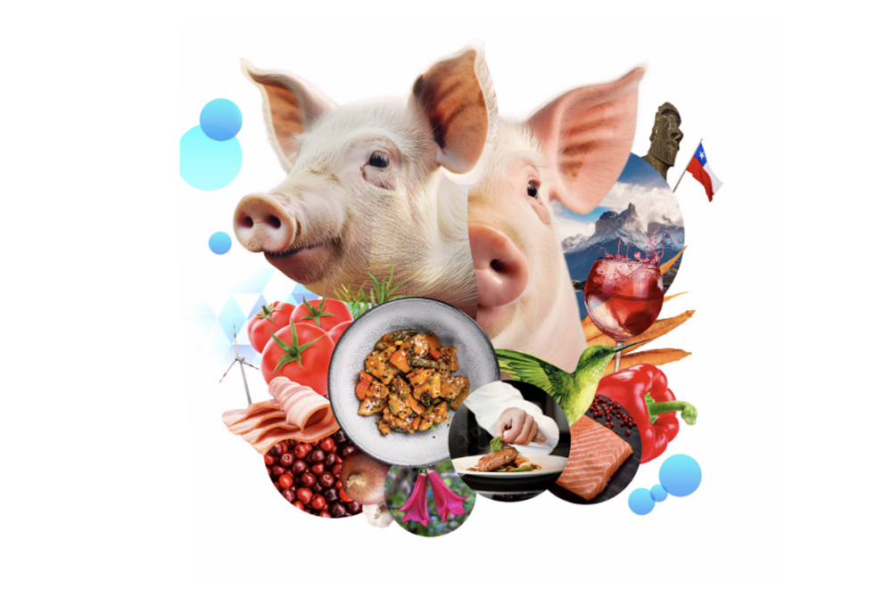Catálogo de carnes ChilePork 2025