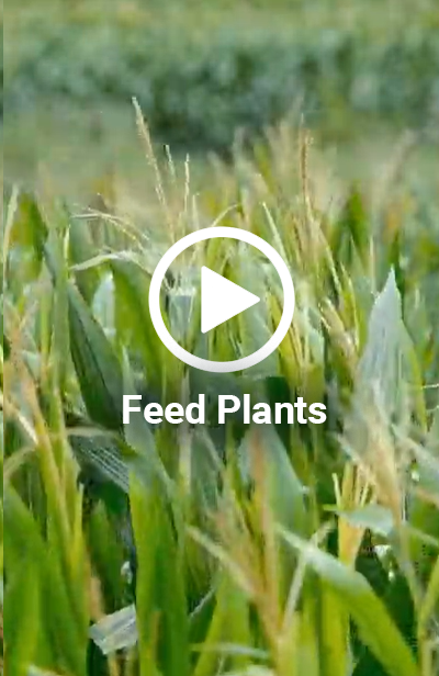 feedplants