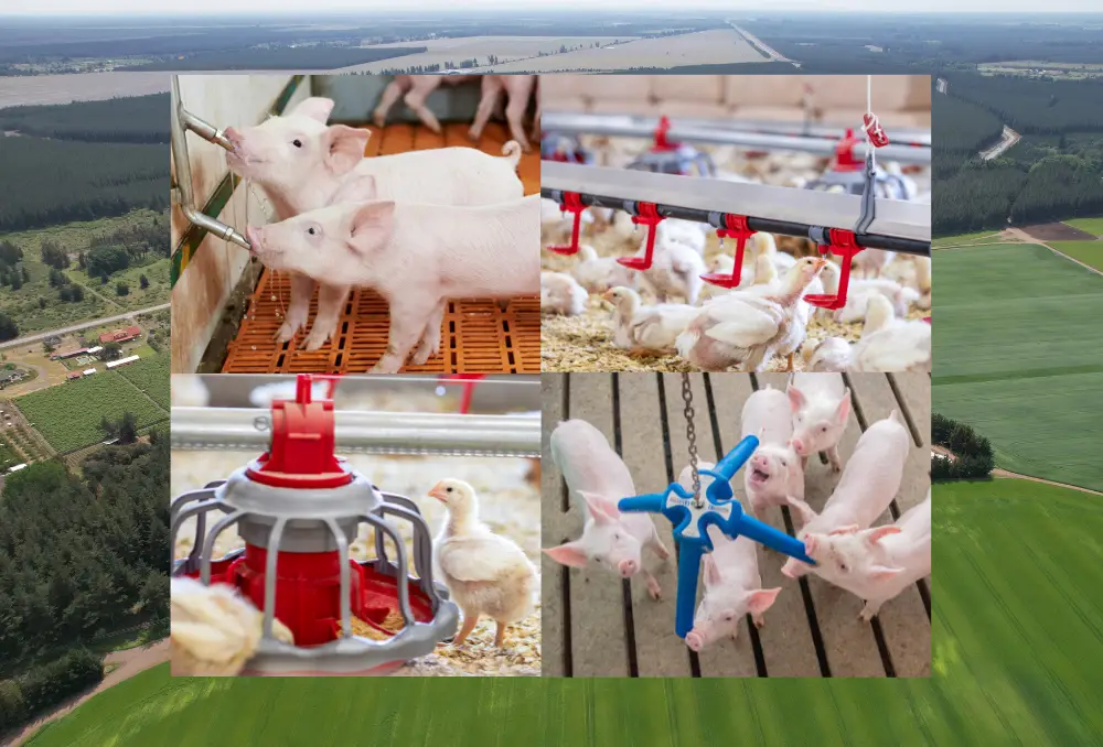 Gestión del agua: avances y desafíos en la producción de carnes de aves y cerdo en Chile