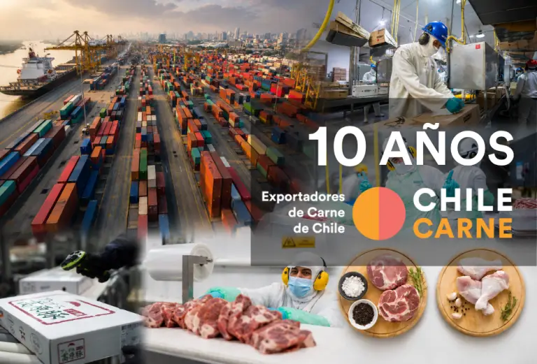 Chilecarne, 10 años apoyando el desarrollo del sector exportador de carne de ave y cerdo de Chile