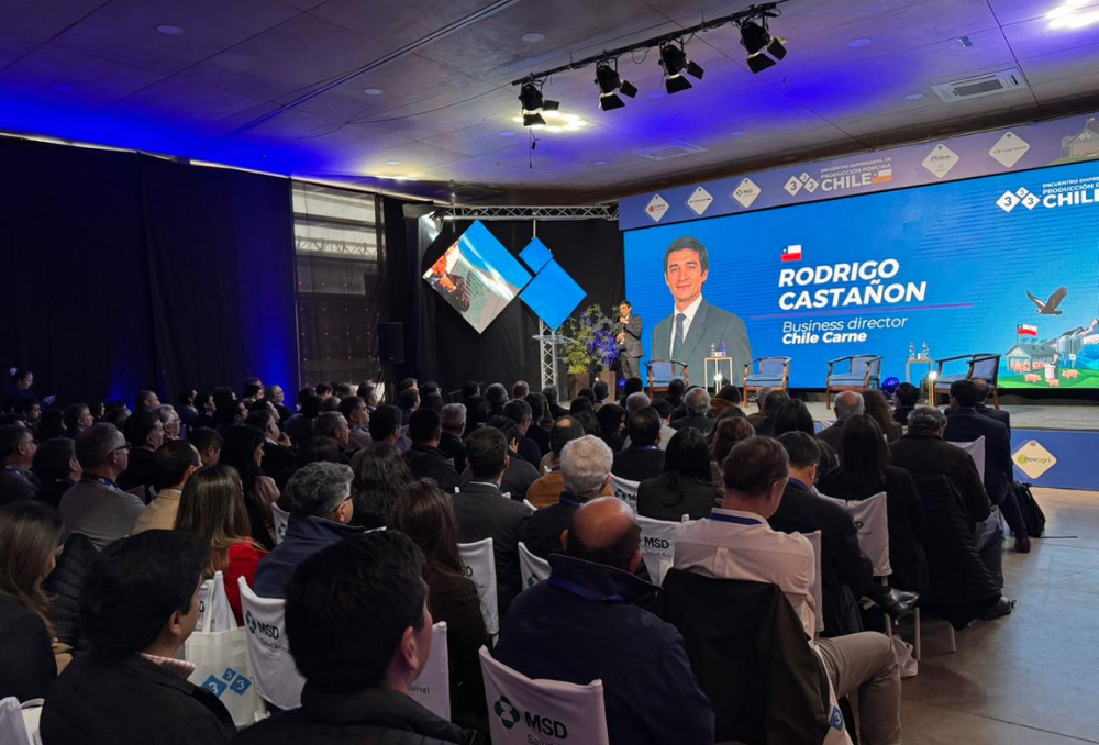 Producción porcina mira al futuro desde Curicó: innovación, eficiencia y nuevos desafíos marcaron encuentro empresarial
